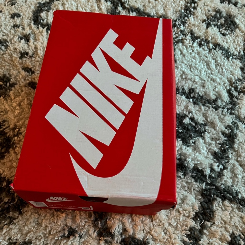 Nike pandas low dunk size 5.5 kids